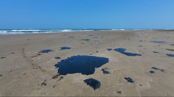 Papaloapan-Hidrocarburo Veracruzanos acusan que los ríos y playas continúan contaminados por el derrame de hidrocarburo a pesar de que Sheinbaum aseguró que las playas están limpias.