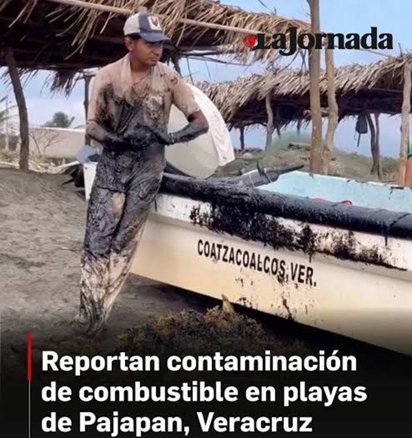 Playas-Contaminación No se ha determinado oficialmente la fuente de la contaminación por hidrocarburo, pero en México el energético y sus múltiples áreas que van desde la extracción, transformación, distribución y comercialización pasan por Petróleos Mexicanos, PEMEX; un organismo bajo control del gobierno federal por mandato constitucional.