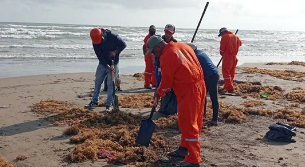 Veracruz-Petróleo La organización Red Corredor Arrecifal del Golfo de México acusa que las autoridades han sido omisas en numerosos aspectos, incluyendo el apoyo que se debería brindar a las comunidades locales para limpiar las playas.