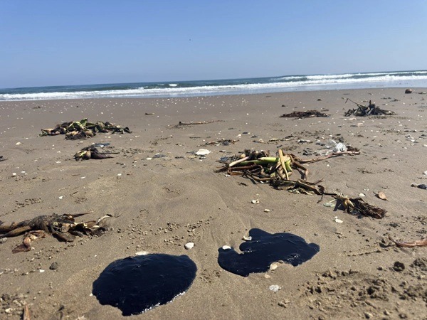 Veracruz-Playas contaminadas La Agencia de Seguridad, Energía y Ambiente (ASEA) de la Secretaría de Medio Ambiente y Recursos Naturales rechazó hablar sobre el tema, aunque es su responsabilidad la supervisión del sector hidrocarburos para la protección al medio ambiente.