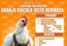 Industria de alimentos impulsa inversión de 116 millones de dólares en Acayucan Acayucan cuenta con vocación logística, agropecuaria, comercial y de servicios, señala el presidente; a ello se suma el tema de industrias interesadas en aprovechar la ubicación de este municipio dentro del Corredor Interoceánico del Istmo de Tehuantepec (CIIT).