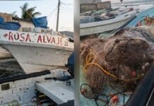 El derrame de hidrocarburo dejó sin peces al municipio de Alvarado: llevan un mes sin pescar Tras un mes de inactividad por la aparición del crudo en Alvarado, algunos trabajadores del mar, tomaron la decisión de abandonar sus labores para laborar en otros oficios.