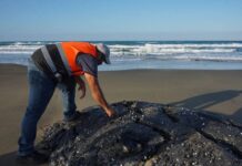 Reportan nueva llegada de manchas de hidrocarburo a playas de Coatzacoalcos Deportistas y ciudadanos en general reportaron la llegada del hidrocarburo, principalmente de las playas ubicadas Malecón Costero; situación que algunos atribuyeron a los oleajes y fuertes vientos derivados del frente frío número 43.