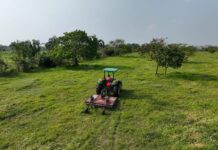 El Gobierno de Minatitlán fortalece al sector agrícola del área rural Estas acciones impulsan el incremento de la productividad y la optimización de los procesos de siembra, lo que impacta de manera positiva en la economía de las familias rurales.