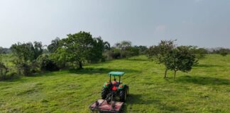 El Gobierno de Minatitlán fortalece al sector agrícola del área rural Estas acciones impulsan el incremento de la productividad y la optimización de los procesos de siembra, lo que impacta de manera positiva en la economía de las familias rurales.