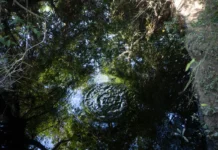 Pemex coloca barreras de contención tras derrame de hidrocarburo; Poza Rica sin agua Pemex añadió que se implementarán medidas de vigilancia para evitar que la situación se repita, además de que personal a su cargo continuará con tareas de limpieza en ambos municipios.