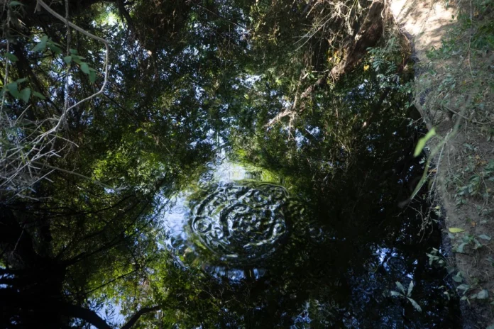 Pemex añadió que se implementarán medidas de vigilancia para evitar que la situación se repita, además de que personal a su cargo continuará con tareas de limpieza en ambos municipios.