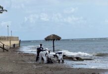 Bolsas abandonadas en Pajapan, Veracruz, son de sargazo, no de chapopote: Semar En un comunicado, la Marina se deslindó de dichas bolsas y precisó que en atención a la denuncia, personal naval realizó una inspección aérea y terrestre en la zona comprendida entre Punta San Juan y Playa Joel, incluyendo la apertura de diversas bolsas para verificar su contenido.