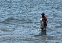 Sociedad de coperativas en Veracruz: más de 20 mil los pescadores afectados por derrame de hidrocarburo El presidente de la sociedad de cooperativas pesqueras Bernardo Hernández Guzmán, dijo que se dieron diferentes tipos de daños a los hombres del mar, siendo en su mayoría las pérdidas debido a la baja pesca y venta de productos marinos.