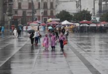 Hasta 21 ciclones a causa de ‘El Niño’ en temporada de lluvias 2026: SMN Hasta ahora, apuntó, no es posible decir cuántos de estos fenómenos ingresarán a territorio nacional. Con base en el promedio histórico, el especialista mencionó que las entidades con mayores afectaciones en la temporada de lluvias de 2026 serán Baja California Sur, Quintana Roo, Sinaloa, Veracruz y Tamaulipas.