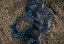 Investigación del derrame del Pemex se extenderá por varias semanas, afirma Rosa Icela Rodríguez La secretaria de Gobernación detalló que la Comisión Interinstitucional seguirá con indagaciones continuas para esclarecer lo sucedido en el Golfo de México.