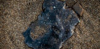 Investigación del derrame del Pemex se extenderá por varias semanas, afirma Rosa Icela Rodríguez La secretaria de Gobernación detalló que la Comisión Interinstitucional seguirá con indagaciones continuas para esclarecer lo sucedido en el Golfo de México.