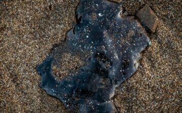 Investigación del derrame del Pemex se extenderá por varias semanas, afirma Rosa Icela Rodríguez La secretaria de Gobernación detalló que la Comisión Interinstitucional seguirá con indagaciones continuas para esclarecer lo sucedido en el Golfo de México.