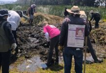 El mapa criminal tras los 219 restos óseos hallados en Tláhuac–Chalco: qué grupos operan en la zona El hallazgo de 219 restos en la franja Tláhuac–Chalco reaviva la atención sobre una región marcada por la presencia de cárteles y bandas locales.