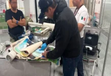 Detienen a extranjero que transportaba presunta cocaína en lienzos de fotografía en AICM Lienzos de fotografía con cocaína en AICM México detenidos por autoridades