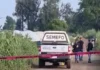 Denuncia Congreso Nacional Indígena ataque del crimen organizado a comunidad purépecha; hay dos muertos El crimen organizado atacó a la comunidad purépecha en Michoacán, crimen organizado