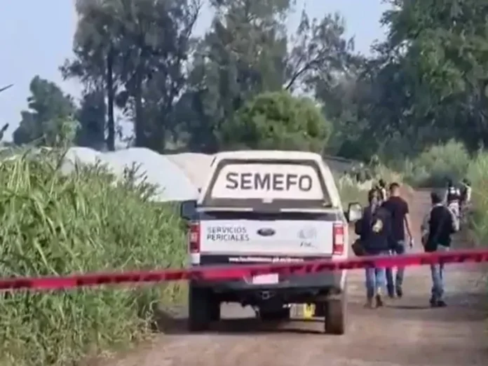Ataque del crimen organizado en Michoacán El crimen organizado atacó a la comunidad purépecha en Michoacán, crimen organizado