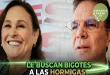 Le andan buscando bigotes a las hormigas La corrupción en Veracruz es un tema que preocupa a los ciudadanos, especialmente con las acusaciones en contra de la gobernadora Rocío Nahle
