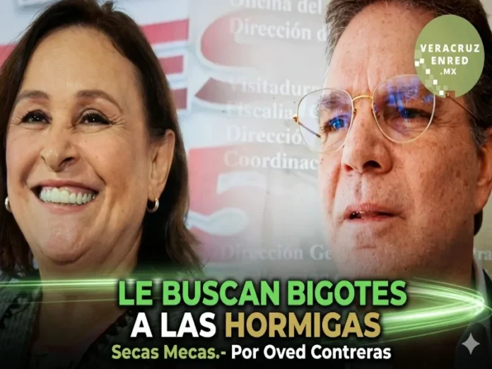 La corrupción en Veracruz es un tema que preocupa a los ciudadanos, especialmente con las acusaciones en contra de la gobernadora Rocío Nahle