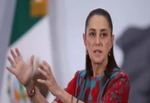 Sheinbaum responde a Trump por amenaza contra países que no frenen a los cárteles Claudia Sheinbaum habla sobre el crimen organizado en México