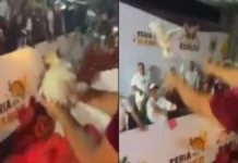 Arrojan pollos vivos desde carro alegórico en Medellín; señalan acto de crueldad animal Pollos vivos lanzados desde carro alegórico en Medellín, Veracruz, acto de crueldad animal