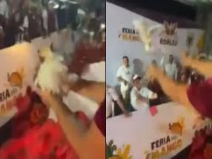 Pollos vivos lanzados desde carro alegórico en Medellín, Veracruz, acto de crueldad animal