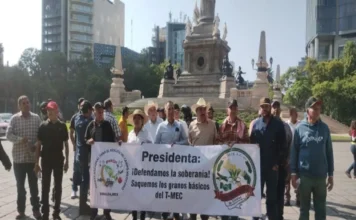 Agricultores denuncian a Marcelo Ebrard ante la FGR y promoverán juicio político en el Congreso por traición a la patria Agricultores denuncian a Marcelo Ebrard por traición a la patria en México