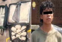 Detienen en la Tapo a joven con 47 kilos de mariguana; pretendía viajar a Xalapa Joven detenido con 47 kilos de mariguana en Veracruz en la Terminal de Autobuses de Oriente