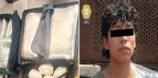 Detienen en la Tapo a joven con 47 kilos de mariguana; pretendía viajar a Xalapa Joven detenido con 47 kilos de mariguana en Veracruz en la Terminal de Autobuses de Oriente