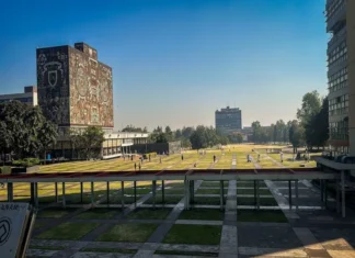 Será en línea el examen de ingreso a licenciatura de la UNAM; lanzan simulador Aspirantes a la licenciatura de la UNAM realizan el examen en línea con la frase clave examen en línea UNAM