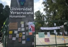 Rocío Nahle asegura que no habrá impunidad por agresión a estudiante de la UV Rocío Nahle busca justicia en Veracruz para estudiante agredido por policía