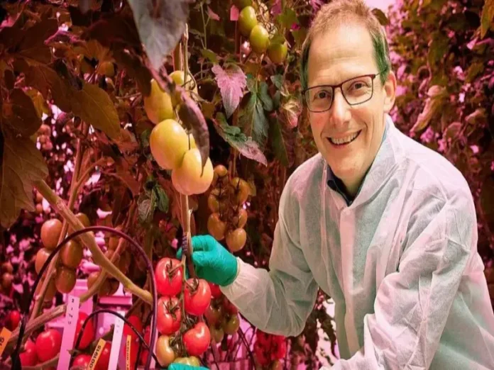 Producción de alimentos sostenible en Países Bajos con tecnología de vanguardia y producción de alimentos