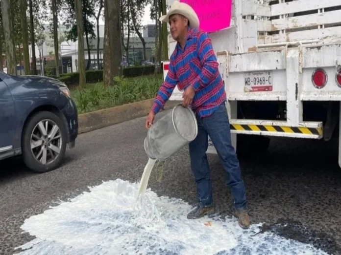 Productores de leche derraman leche descompuesta en protesta Productores de leche en Veracruz derraman leche descompuesta en protesta por su baja en el programa leche para el bienestar