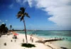 Activistas de Mahahual celebran rechazo a «Perfect Day» y piden revocar cambios al plan urbano Proyecto Perfect Day en Mahahual rechazado por la Semarnat