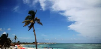 Activistas de Mahahual celebran rechazo a «Perfect Day» y piden revocar cambios al plan urbano Proyecto Perfect Day en Mahahual rechazado por la Semarnat