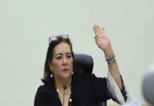 Oposición en el Senado respalda a Guadalupe Taddei; anticipan voto en contra de reformas electorales de Sheinbaum y Monreal Reformas electorales en México enfrentan oposición en el Senado