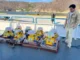 Estudian sismos lentos en las costas de Oaxaca Investigadores estudian sismos lentos en Oaxaca para entender terremotos y tsunamis