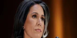 Renuncia Tulsi Gabbard, directora de Inteligencia Nacional de EU Tulsi Gabbard renuncia como directora de Inteligencia Nacional de EU debido a problemas de salud de su marido