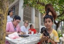Cosoleacaque responde con responsabilidad y amor por sus mascotas Mascotas reciben Vacunación Antirrábica en Cosoleacaque