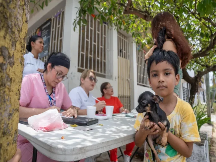 Vacunación Antirrábica Canina y Felina en Cosoleacaque Mascotas reciben Vacunación Antirrábica en Cosoleacaque