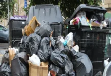 Afición japonesa pide 10 mil bolsas para limpiar el Estadio Monterrey Afición japonesa recogiendo basura en el Estadio Monterrey