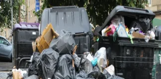 Afición japonesa pide 10 mil bolsas para limpiar el Estadio Monterrey Afición japonesa recogiendo basura en el Estadio Monterrey