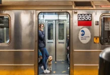 Apuñalan a cinco personas en la estación Penn de Nueva York previo a visita de Trump Apuñalan a cinco personas en la estación Penn Station de Nueva York