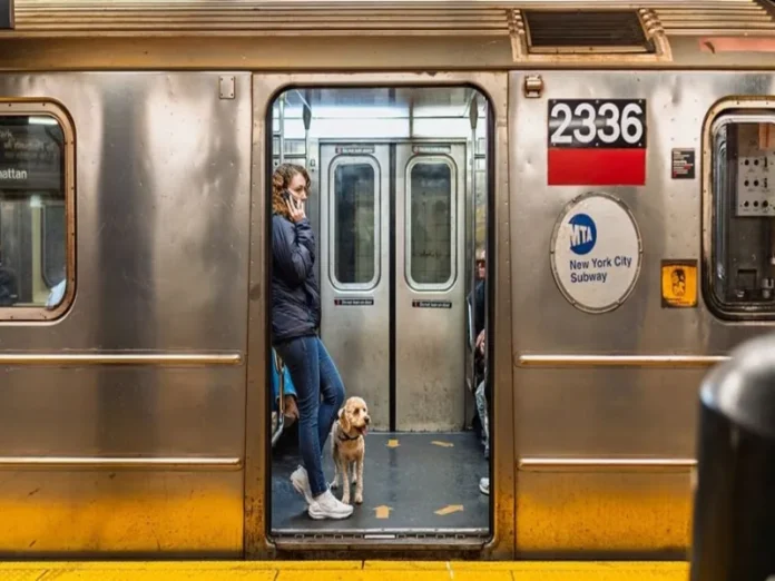 Título descriptivo de la imagen de apuñalamiento en Nueva York Apuñalan a cinco personas en la estación Penn Station de Nueva York