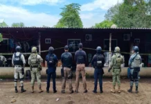 Aseguran gran arsenal de armas en Veracruz Imagen de arsenal de armas asegurado en Veracruz con 108 armas de fuego
