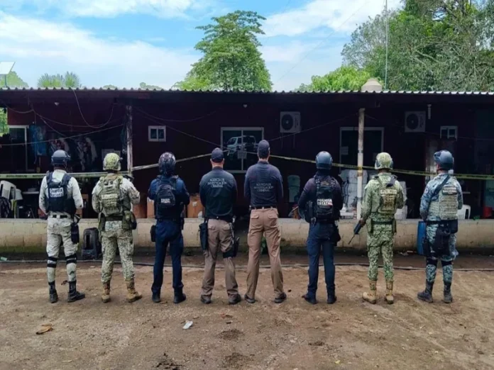 Imagen de arsenal de armas asegurado en Veracruz con 108 armas de fuego