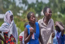 OMS alerta que brote de ébola sigue expandiéndose en El Congo: ‘El impacto es devastador’ Mapa de la República Democrática del Congo con zonas afectadas por el brote de ébola en África