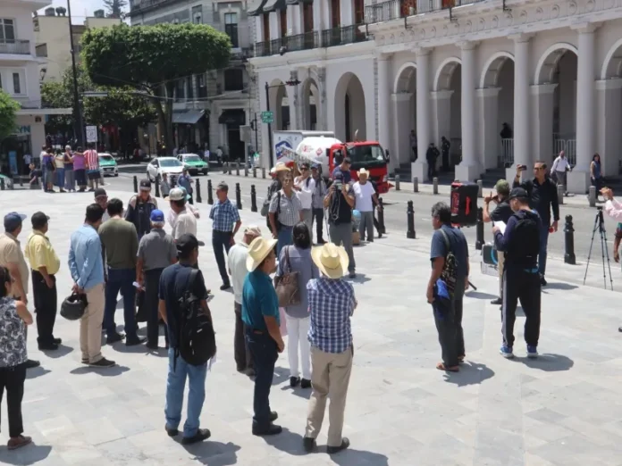 Cafeticultores de Veracruz afectados por la crisis climática y la roya
