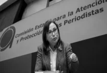 La Tía Chío clava el ataúd de la CEAPP; es desechable La Comisión Estatal de Apoyo y Protección a Periodistas CEAPP Veracruz México