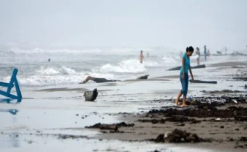 Autoridades alertan por la formación de un ciclón tropical; lluvias afectarían a Tamaulipas y Nuevo León Ciclón tropical en el Golfo de México, cerca de la costa de Tamaulipas